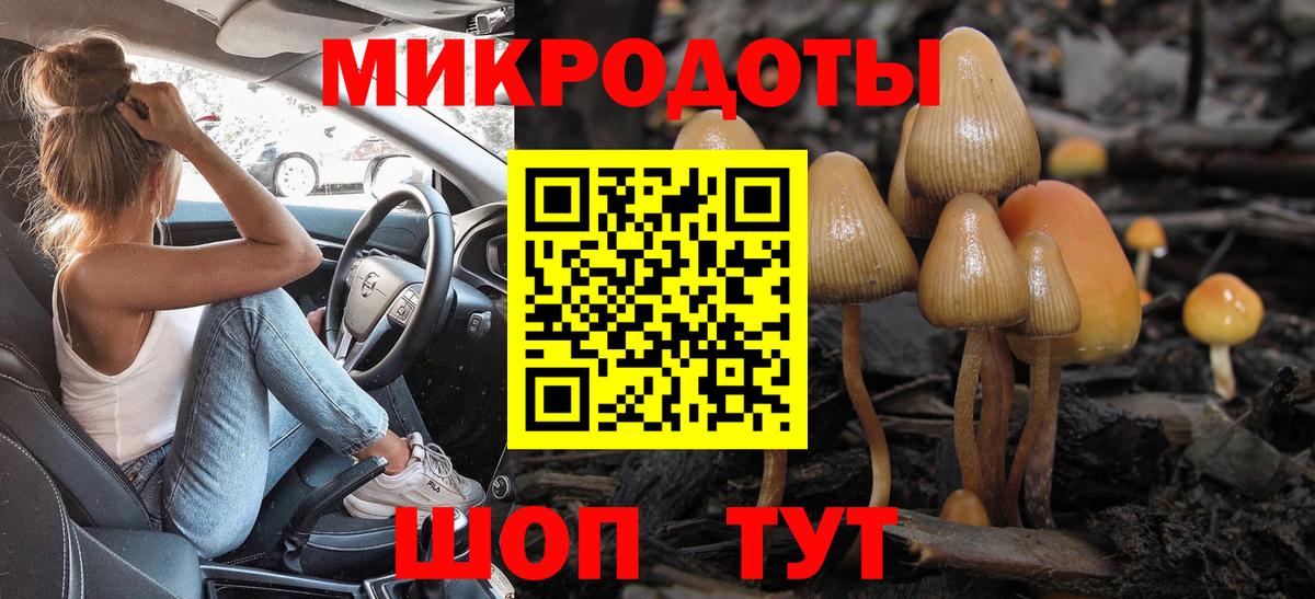 Богданович  Галлюциногенные грибы GOLDEN TEACHER  Вход с VPN  закладка  Галлюциногенные грибы мицелий 