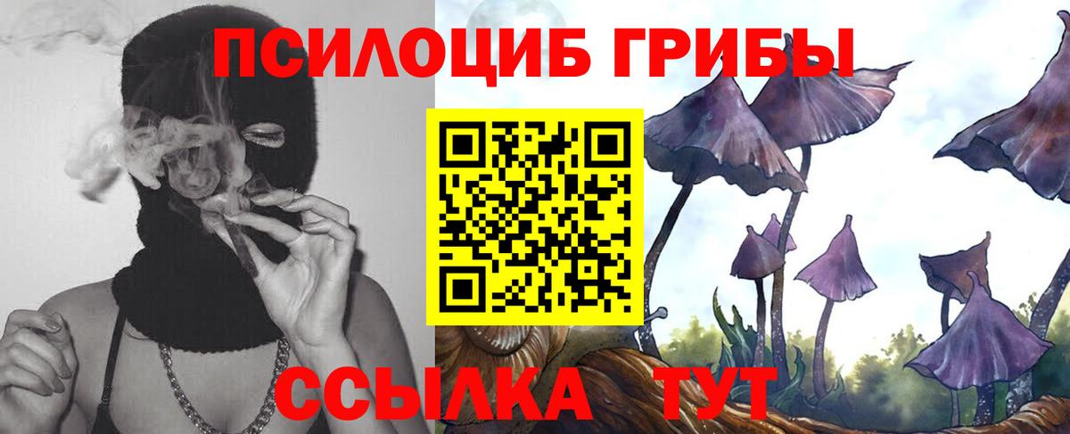 Галлюциногенные грибы GOLDEN TEACHER Богданович